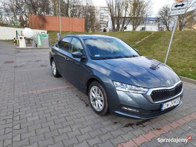 Używany 2021 Skoda Octavia Ambition | 88 000 zł (Dość drogi)