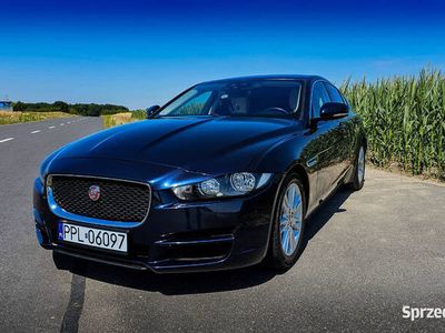 używany Jaguar XE 