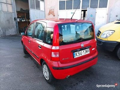 Używany 2004 Fiat Panda Hatchback | 2400 zł (Dobra cena)
