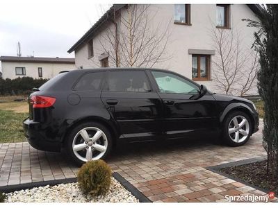 Używany 2009 Audi A3 | 29 500 zł (Drogi)