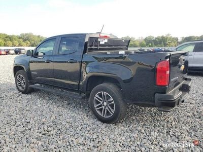 Używany 2019 Chevrolet Colorado Pickup | 77 000 zł
