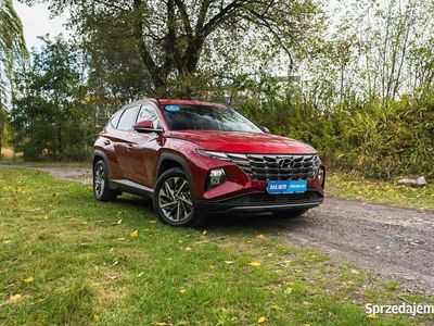 Czerwony Używany 2023 Hyundai Tucson SUV | 112 999 zł (Dość drogi)