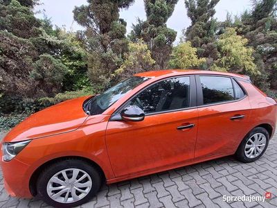 Używany Opel Corsa 2020 Hatchback