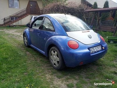 VW Beetle