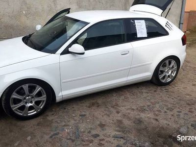 używany Audi A3 1.6 diesel stan dobry