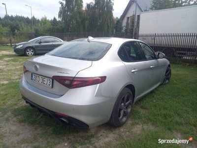 używany Alfa Romeo Giulia 