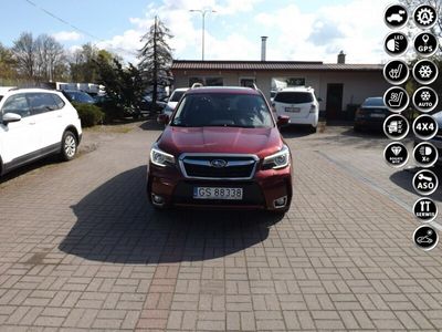 używany Subaru Forester IV (2013-)