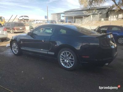 Czarny Używany 2014 Ford Mustang Coupe | 32 500 zł