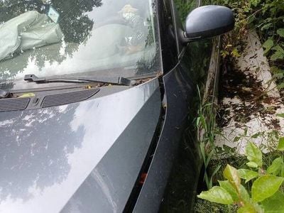 Używany 2008 Skoda Roomster Minivan | 1100 zł