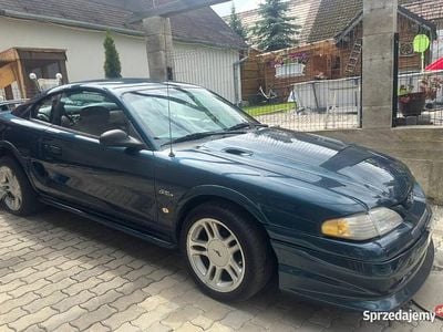 Używany 1997 Ford Mustang GT | 62 000 zł