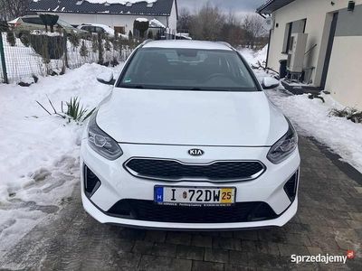 używany Kia Ceed hybryda plug in