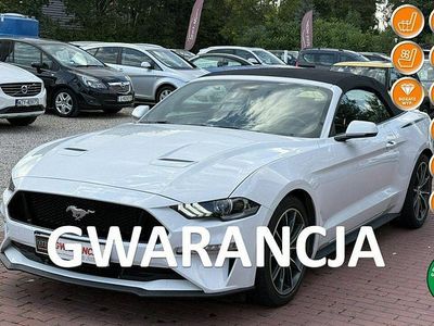 Biały (metalik) Używany 2019 Ford Mustang Kabriolet | 133 800 zł