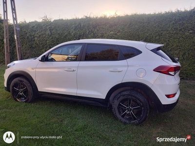 Używany 2016 Hyundai Tucson SUV | 66 800 zł (Uczciwa cena)