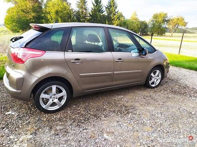 Brązowy Używany 2007 Citroën C4 Picasso Minivan | 9999 zł (Dość drogi)