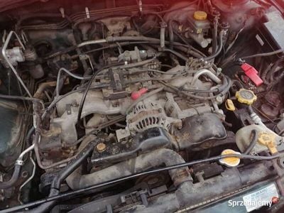 Używany 1999 Subaru Outback SUV | 2600 zł