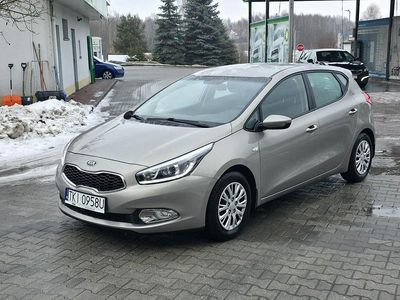 Złoty Używany 2013 Kia Ceed Hatchback | 33 900 zł (Uczciwa cena)