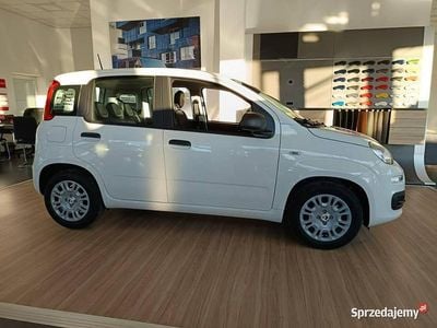 używany Fiat Panda Pandina Icon 1.0 hybrid 70 KM III (2011-)