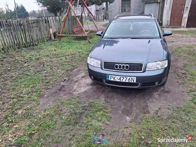 Szary Używany 2003 Audi A4 Kombi | 6000 zł (Dobra cena)