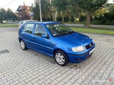 VW Polo
