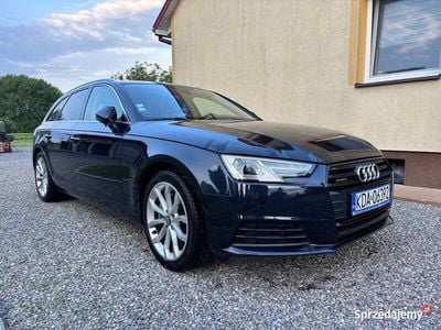 Używany 2016 Audi A4 | 74 999 zł (Drogi)