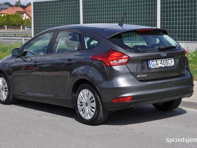 używany Ford Focus 1.6 Trend Krajowy Bezwypadkowy I Właściciel