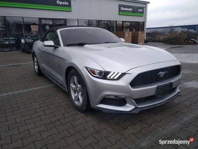 używany Ford Mustang Mustang Cabrio 3,7 v6 304 KMCabrio 3,7 v6 304 KM