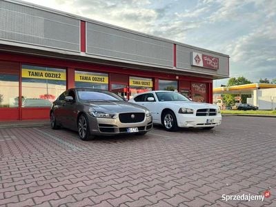 Używany Jaguar XE Supercharged 2017 Sedan/Limuzyna