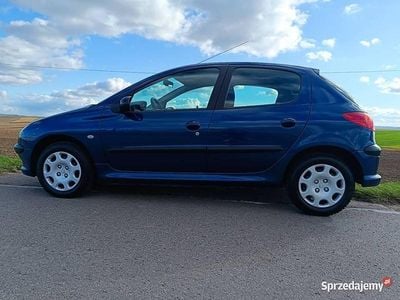 Niebieski Używany 2004 Peugeot 206 Hatchback | 8500 zł (Drogi)