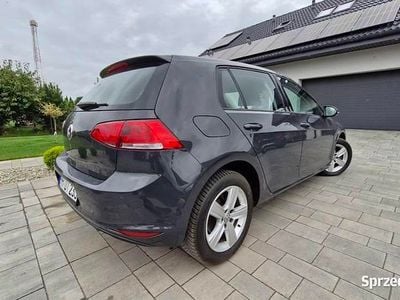VW Golf VII