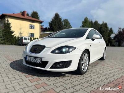Używany 2010 Seat Leon | 21 900 zł (Drogi)