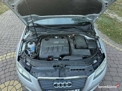 Srebrny Używany 2009 Audi A3 Hatchback | 25 500 zł (Dość drogi)