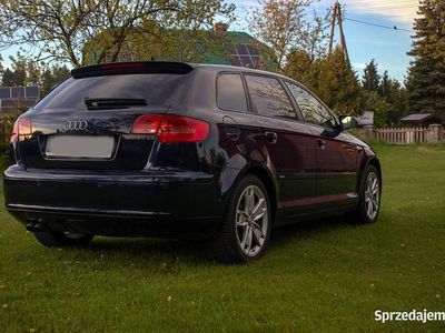 Używany 2005 Audi A3 | 17 999 zł (Drogi)