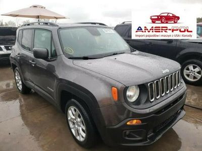 Używany Jeep Renegade 180 KM (132 kW) 2018 Szary SUV