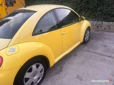 VW Beetle