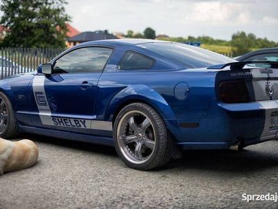 Używany Ford Shelby 500 KM (367 kW) 2006 Coupe