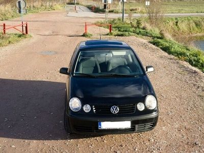 VW Polo