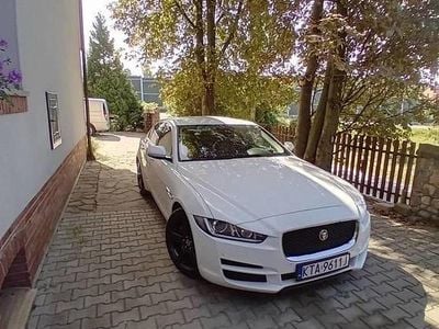 Używany Jaguar XE 2016 Sedan/Limuzyna