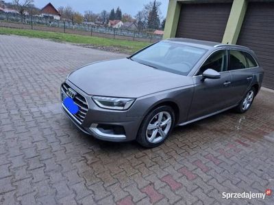 Używany Audi A4 2020 Kombi