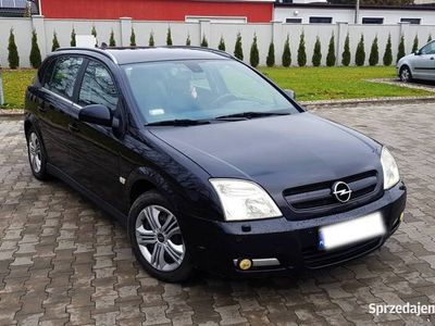 używany Opel Signum 1.9 CDTI 150 KM 2004r / OPC,SPORT nowy rozrząd