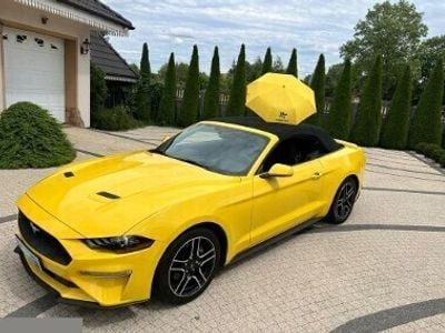 Żółty Używany 2019 Ford Mustang | 89 900 zł