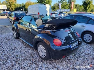 VW Beetle