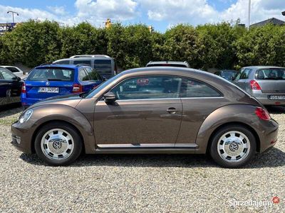 VW Beetle