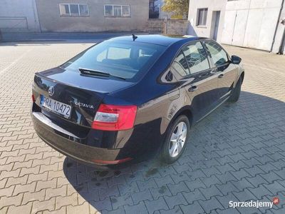 używany Skoda Octavia 1.8 TSI AMBITION F.VAT 2017/2018