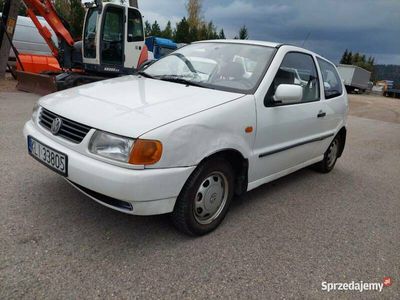 używany VW Polo