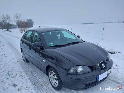 Używany 2004 Seat Ibiza | 7900 zł (Drogi)
