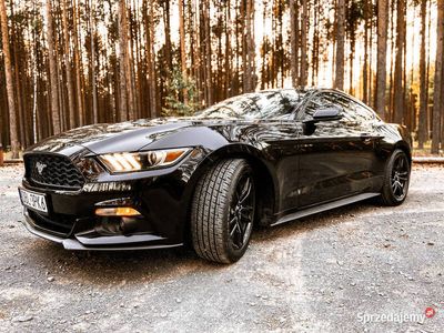 używany Ford Mustang 2.3 EcoBoost 2016 PREMIUM ( Faktura VAT 23% )