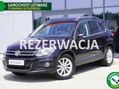 Czarny Używany 2015 VW Tiguan SUV | 69 999 zł (Dość drogi)