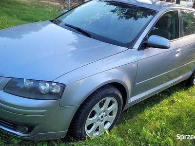 Srebrny Używany 2005 Audi A3 | 13 500 zł