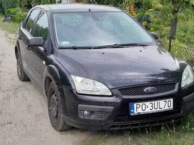 Używany 2005 Ford Focus | 4300 zł (Dość drogi)