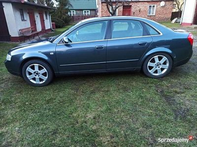 Używany 2003 Audi A4 | 7300 zł (Uczciwa cena)